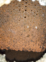 20230425100836-7 20230425100836-7